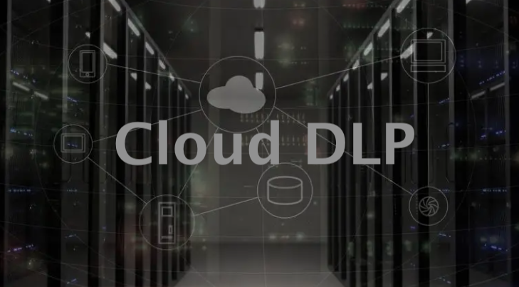Cloud data loss prevention (DLP)
