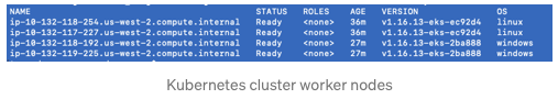 Kubernetes cluster worker nodes