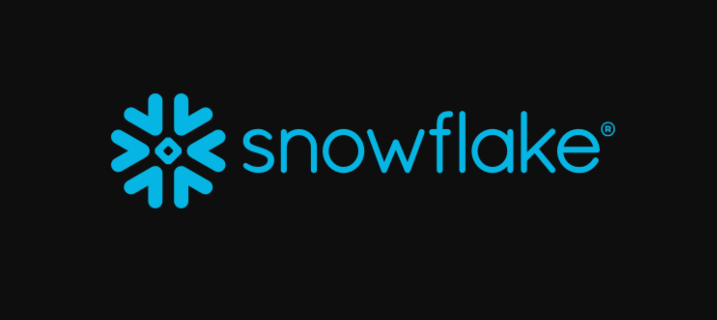 Protecting data in Snowflake with API platform Company