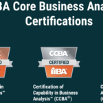 IIBA Core Business Analysis Certifications Guide IIBA Core Business Analysis Certifications