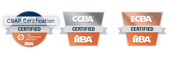 IIBA Specialized Business Analysis Certifications Guide