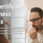 IIBA Specialized Business Analysis Certifications Guide IIBA Specialized Business Analysis Certifications Guide
