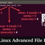 Managing Linux Advanced File Permissions — Part 2 Managing Linux Advanced File Permissions — Part 2