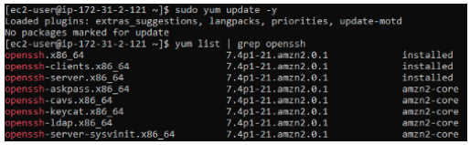 Query returns existing SSH package version