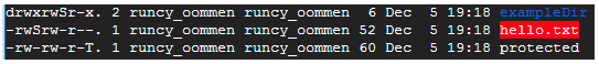 advanced permissions represented by S and T