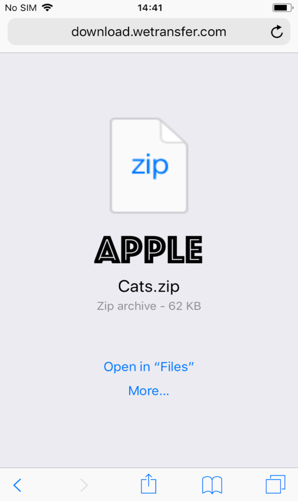 Download wetranfer file zip