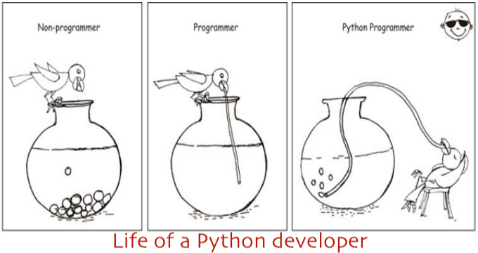 life of a Python developer