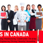 Government Jobs Opportunities for Immigrants to Work in Canada, USA, Netherlands 2022 Canada Government Jobs Opportunities for Immigrants to Work in Canada, USA, Netherlands