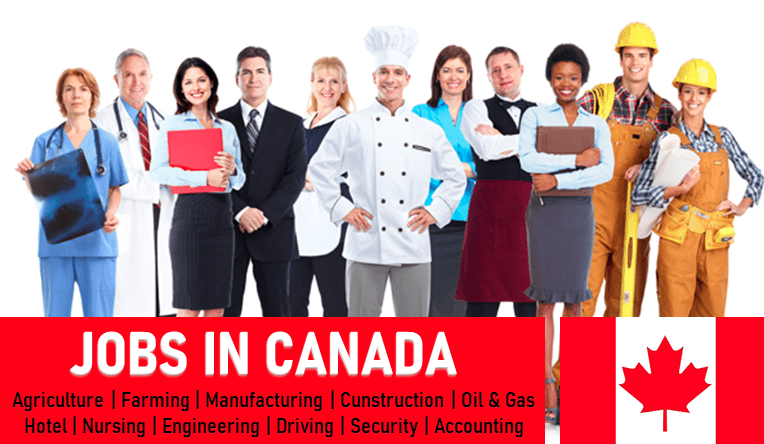 2022 Canada Government Jobs Opportunities for Immigrants to Work in Canada, USA, Netherlands