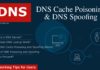 How to quickly detect DNS Cache Poisoning and Fix it How to quickly detect DNS Cache Poisoning and Fix it