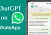 Can I Use ChatGPT on WhatsApp to Impress Boyfriend or Girlfriend? Can I Use ChatGPT on WhatsApp to Impress Boyfriend or Girlfriend?