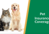 How Much for Pet Insurance Care and What does it Cover? How Much for Pet Insurance and What does it Cover?