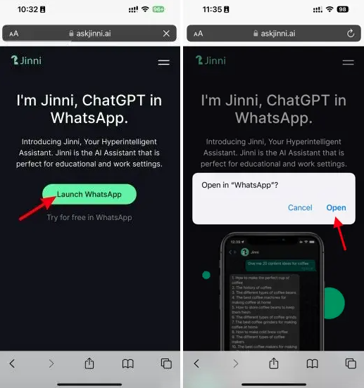 Jinni ChatGPT on WhatsApp