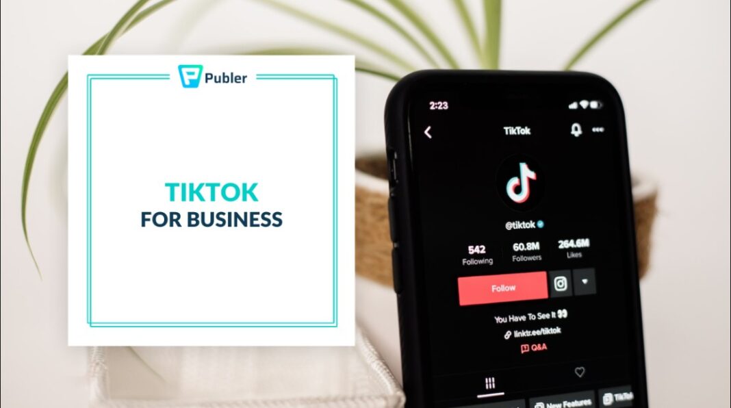 How Professionals are Using TikTok for Business, Brand Building and Influencer Marketing