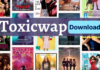 ToxicWap Website to Download Movies, Music, Free TV Series, Anime, Cartoons Toxicwap Mp3 Downloads, Android Games, Movies, Tv series, and videos.