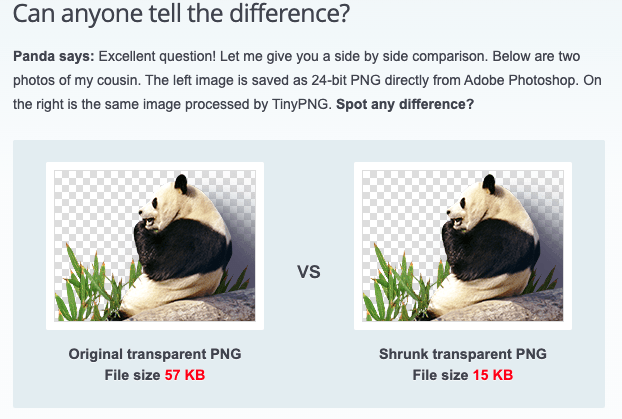 Can you tell the difference after compressing this image?