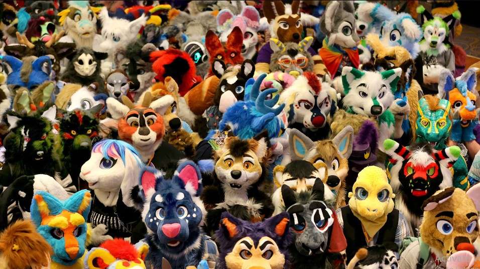 The Furries 
