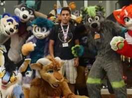 The Furries