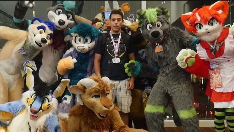 The Furries