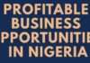 5 Top Profitable Business You Can Start With Small Capital in Nigeria Business