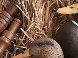 Duck Calling Accents for Hunting and Speaking the Water Ducks Language