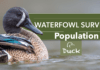 Waterfowl Population Survey Results is Estimated at 32.3 million Birds Waterfowl Population Survey Results for 2023 is Estimated at 32.3 million Birds