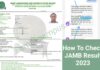 Access the JAMB UTME Results for Free, No PIN Required JAMB 2023 UTME