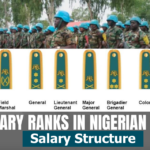 2024 Nigerian Army Ranks and Salary Structure in Military Battalion Nigerian Army Ranks and Salary Structure in Military Battalion