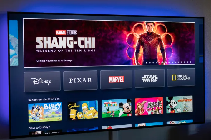 TV showing Channels and Everything leaving Hulu, Disney Pricing for Online Streaming Service