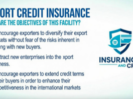 Export Credit Insurance: Coverage, Users, Benefits, Costs, and Practical Strategies for Businesses and Individuals
