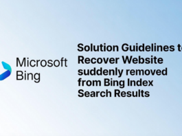 Solution Guidelines to Recover Website suddenly removed from Bing Index Search Results