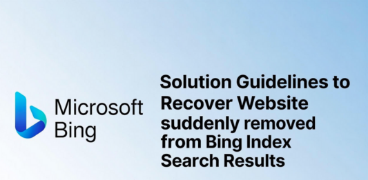 Solution Guidelines to Recover Website suddenly removed from Bing Index Search Results